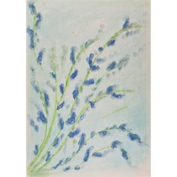 Bouquet fleuri de Provence