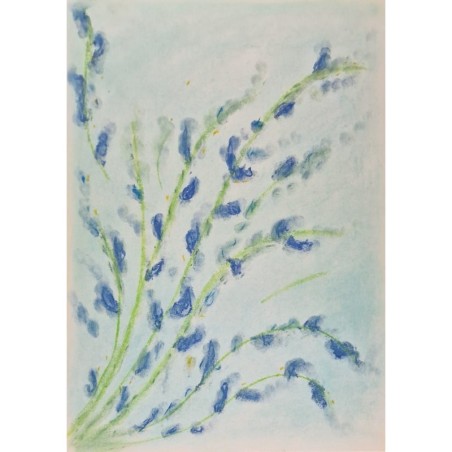 Bouquet fleuri de Provence