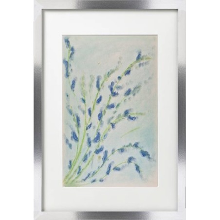 Bouquet fleuri de Provence