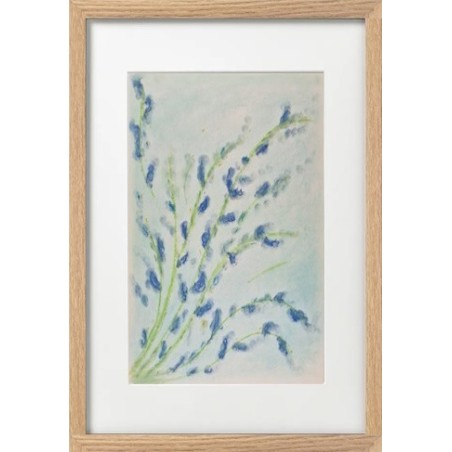 Bouquet fleuri de Provence