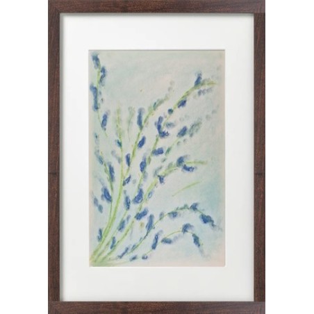 Bouquet fleuri de Provence