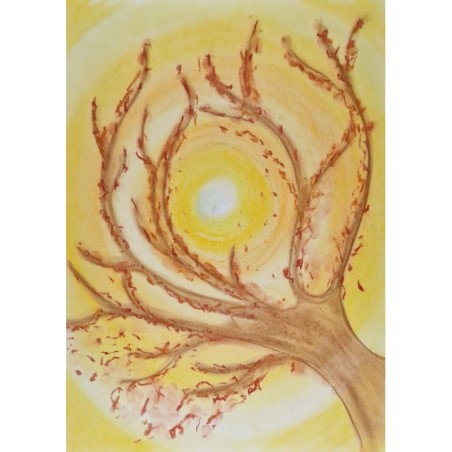 Branches au coucher de soleil