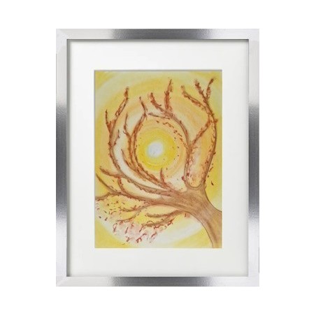 Branches au coucher de soleil