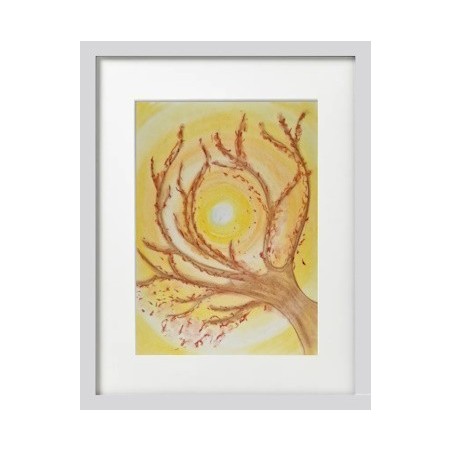 Branches au coucher de soleil