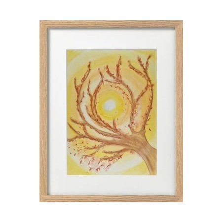 Branches au coucher de soleil