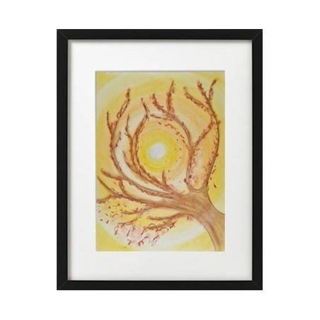 Branches au coucher de soleil