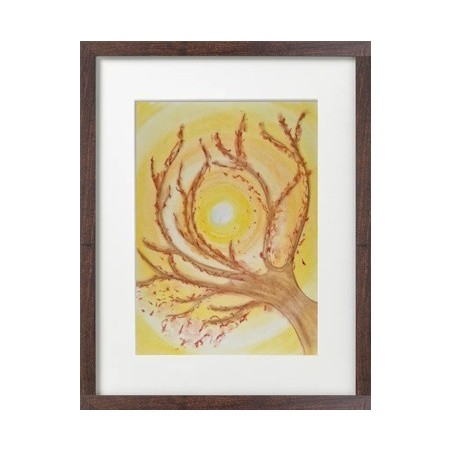 Branches au coucher de soleil