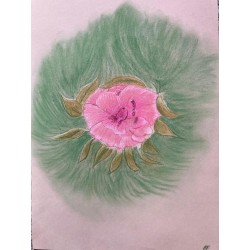 L'éclat du cœur floral