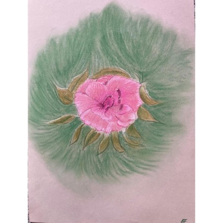 L'éclat du cœur floral