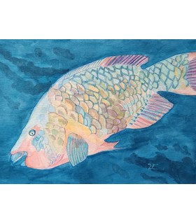 Poisson des profondeurs