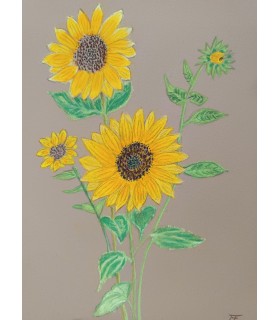 Les Tournesols du matin